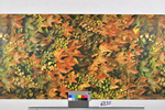 1970er: Pflanzendekortapete/Fototapete "Dessin "Weinlaub" mit wildem Wein in Herbstfarben aus der Kollektion "Dekoration"