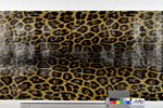 1970er: Dekortapete "Jaguar" mit Leopardenmuster